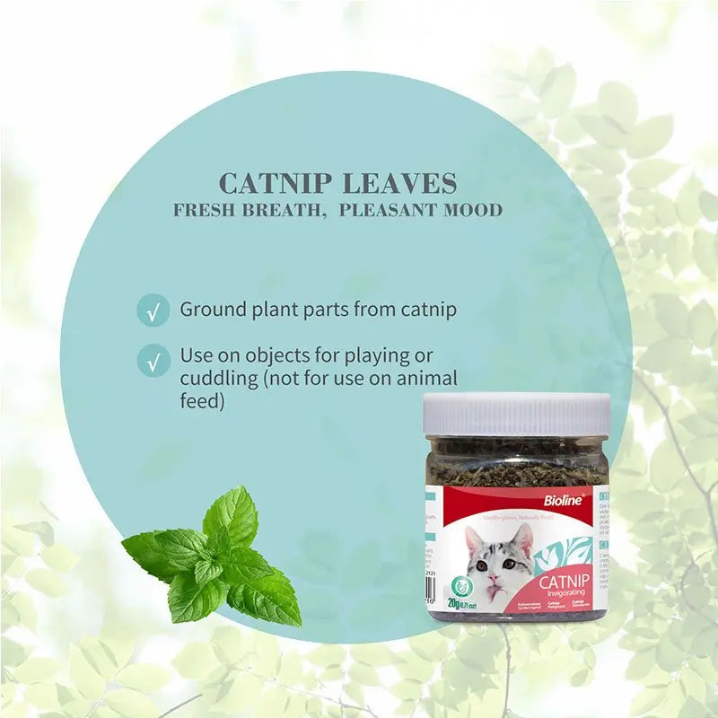 Bioline Catnip Leaves 230 ml[Weight - 20g]