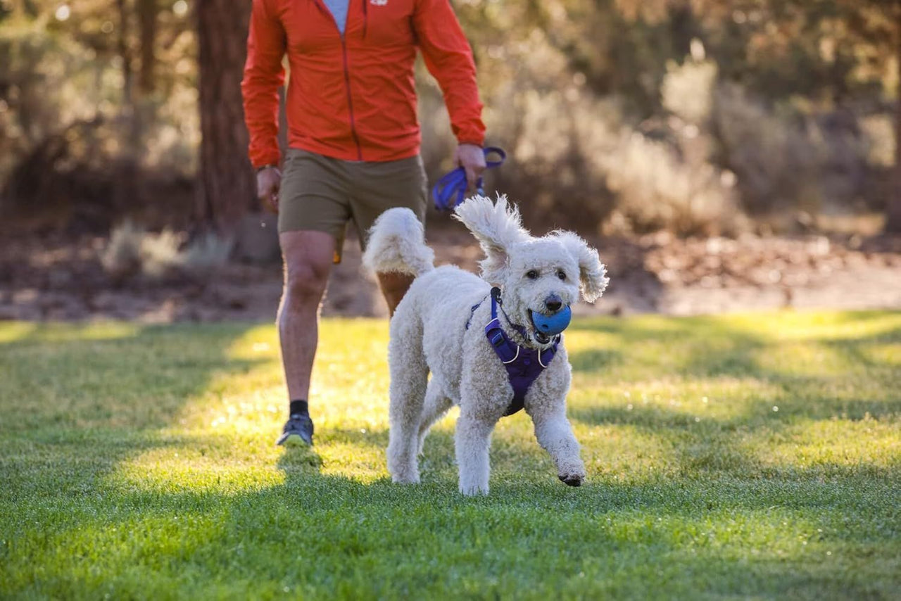 Ruffwear Huckama Rubber Throw Dog Toy  - Campfire Orange