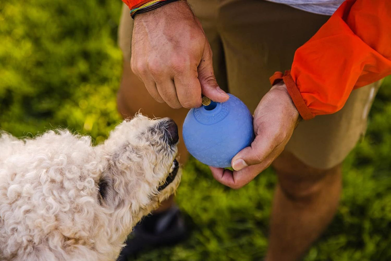 Ruffwear Huckama Rubber Throw Dog Toy  - BLUE