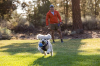 Thumbnail for Ruffwear Huckama Rubber Throw Dog Toy  - BLUE
