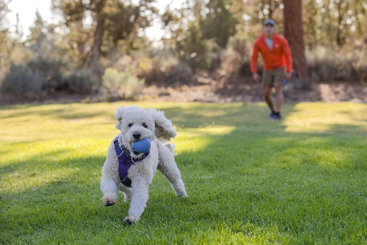 Ruffwear Huckama Rubber Throw Dog Toy  - Heliotrope Purple