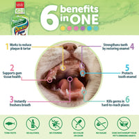Synergy Labs Dental Fresh Original Formula For Cats 237ml[Volume - 237ml]