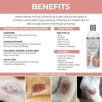 Synergy Labs Veterinary Formula Clinical Care Hot Spot & Itch Relief Medicated Shampoo For Dogs & Cats[Volume - 473ml]