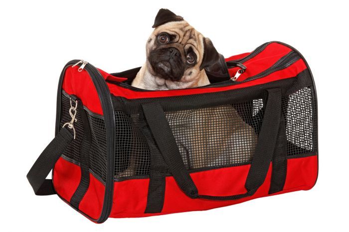 Flamingo Divina Carrying Bag - RED 50CM