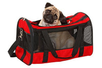 Thumbnail for Flamingo Divina Carrying Bag - RED 50CM