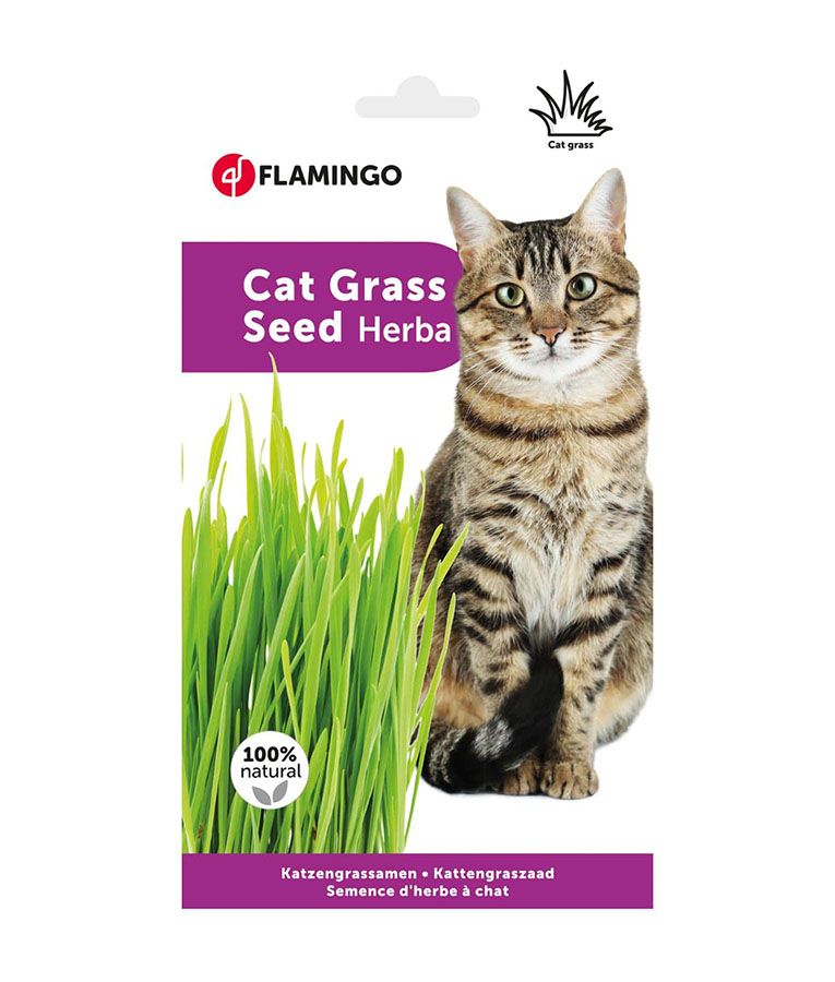 Flamingo Cat Grass Seed Herba -