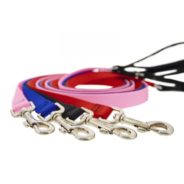 Basic Solids Padded Handle Dog Leash 4ft - 1" wide - red