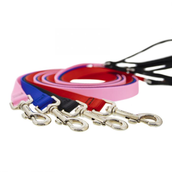 Basic Solids Padded Handle Dog Leash 4ft - pink