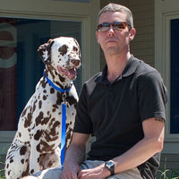 Basic Solids Padded Handle Dog Leash 4ft - 1