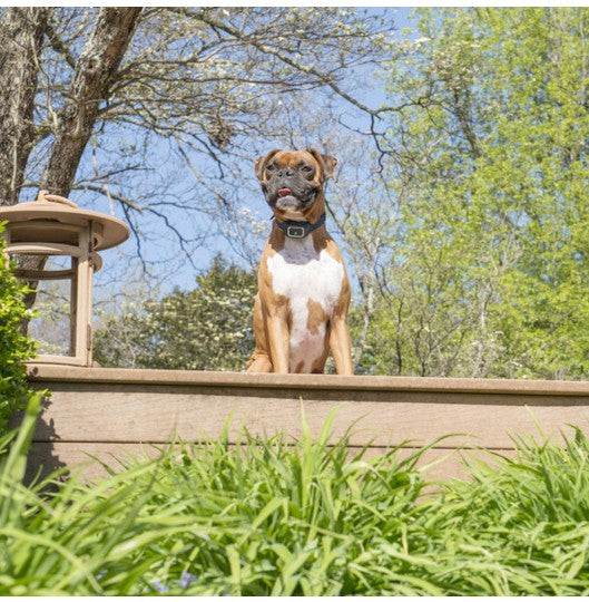 Pet Safe Spray Bark Collar -2019 model
