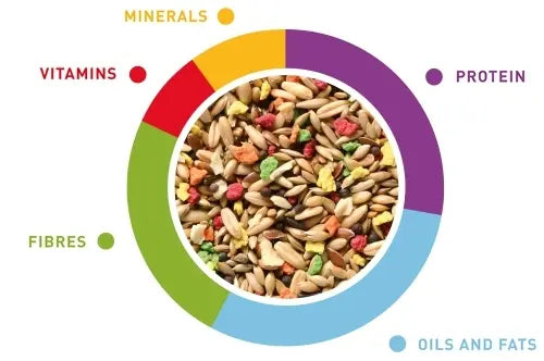 Padovan Grandmix Canarini[Weight - 1kg]