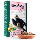 Padovan Granpatee Fruits -1Kg