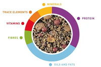 Padovan Granpatee Fruits -1Kg