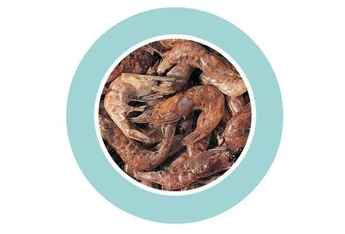 Padovan Shrimps Freshwater Turtle Food-160gm