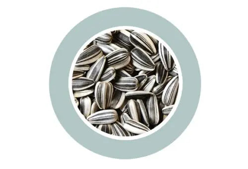 Padovan Sunseeds[Weight - 500g, Size - M]