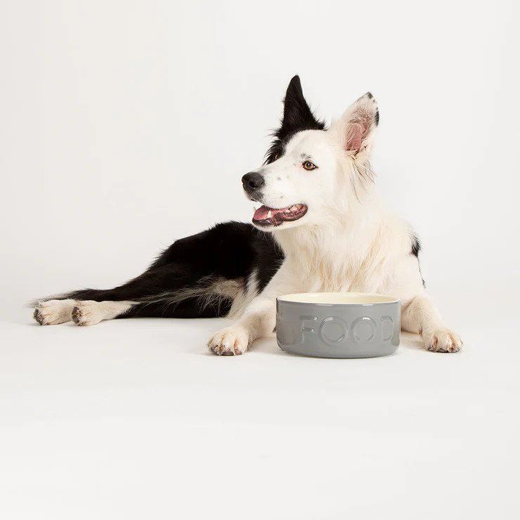 Scruffs Classic Food Dog Bowl - GREY 19CM