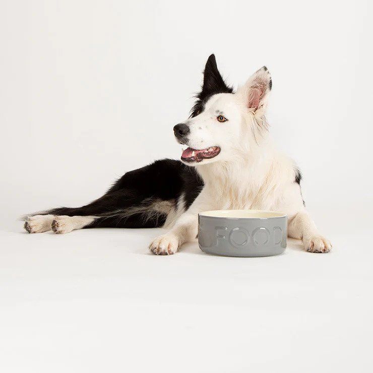 Scruffs Classic Food Dog Bowl - GREY 13CM