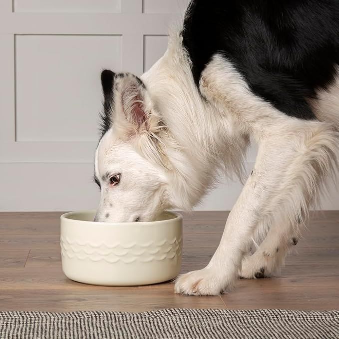 Scruffs Icon Water Dog Bowl - Cream 20cm