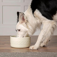 Thumbnail for Scruffs Icon Water Dog Bowl - Cream 20cm