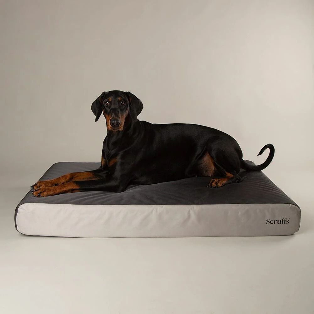 Scruffs ArmourDillo Orthopaedic Dog Bed - Grey Large