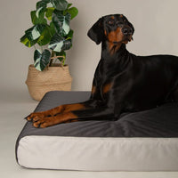 Scruffs ArmourDillo Orthopaedic Dog Bed - Grey Large