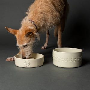 Scruffs Icon Slow Feeder Cream Pet Bowl 20cm - Cream 20cm