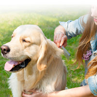 Thumbnail for Regular Comb for Dogs and Cats