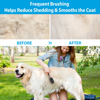 Thumbnail for Double-Sided Brush Nylon Bristles & Pins for Dogs and Cats
