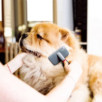 Thumbnail for Slicker Brush for Dogs and Cats