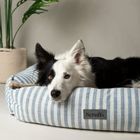 Scruffs Coastal Box Dog Bed - Blue Large
