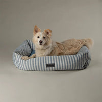 Scruffs Coastal Box Dog Bed - Blue X-Large