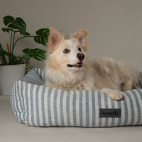 Scruffs Coastal Box Dog Bed - Blue X-Large