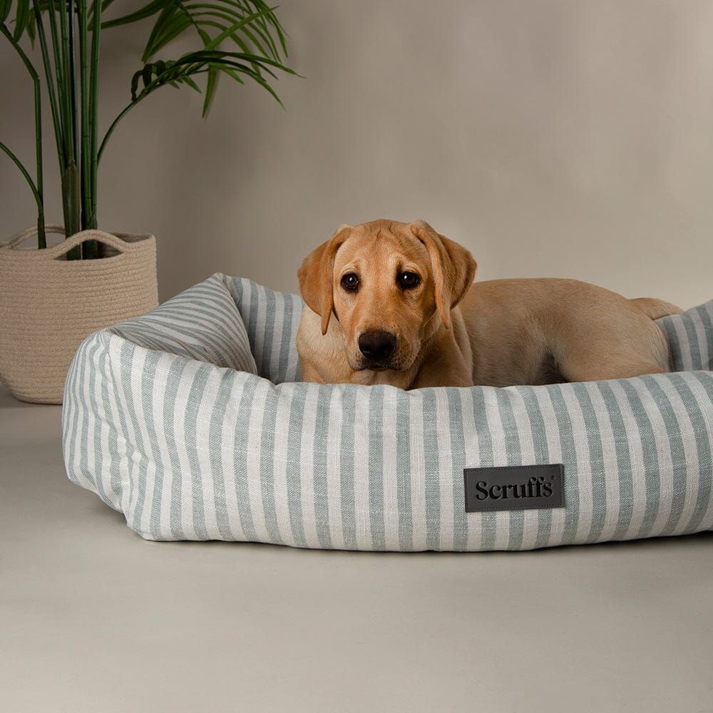 Scruffs Coastal Box Dog Bed - Green X-Large