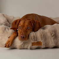 Scruffs Alpine Box Dog Bed - Champagne Large