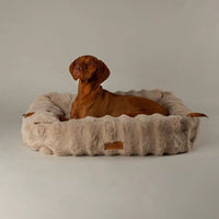 Scruffs Alpine Box Dog Bed - Champagne Large
