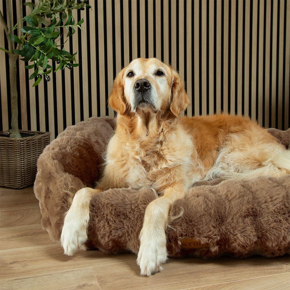 Scruffs Alpine Box Dog Bed - Taupe Large