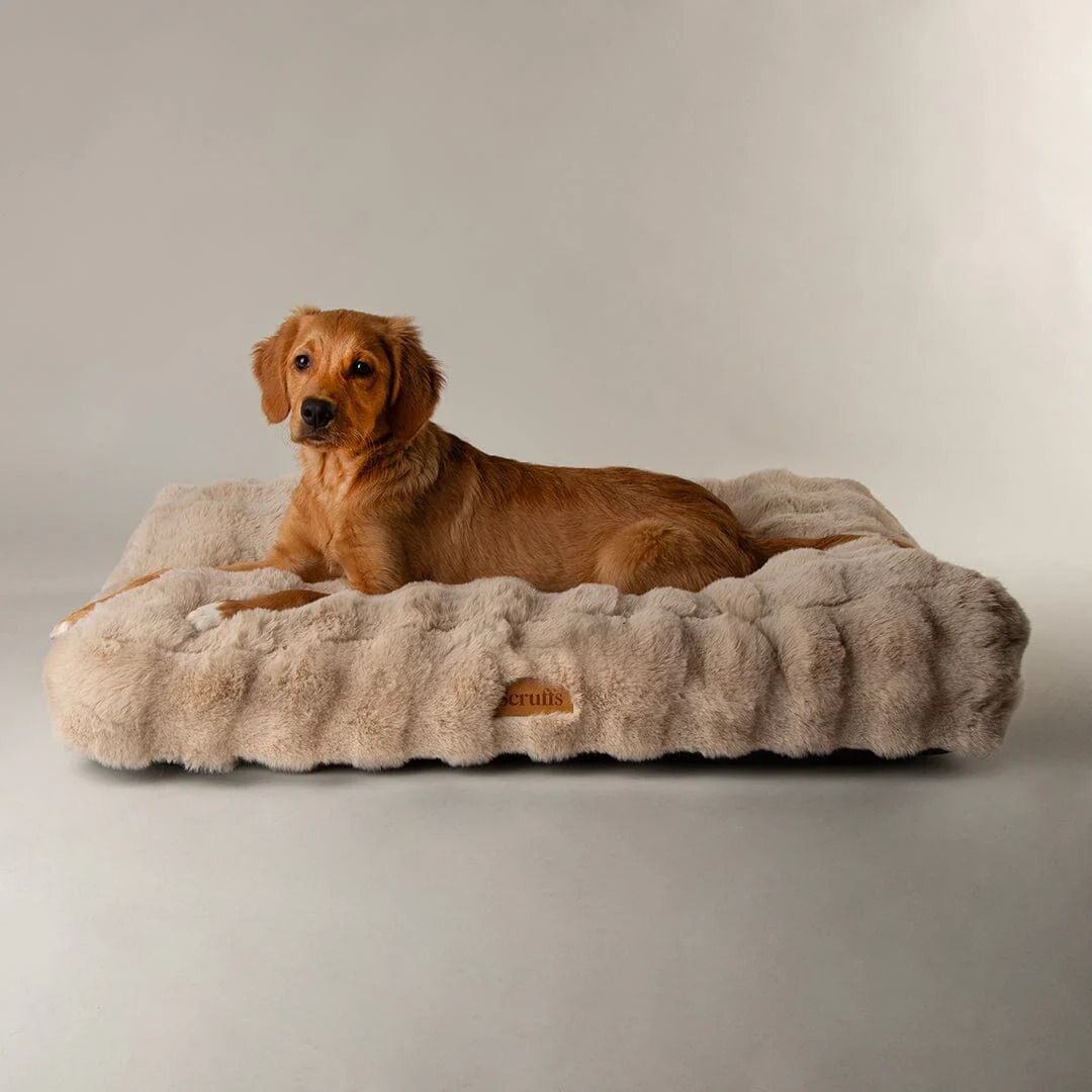 Scruffs Alpine Dog Mattress - Champagne Medium