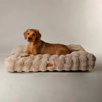 Scruffs Alpine Dog Mattress - Champagne Medium