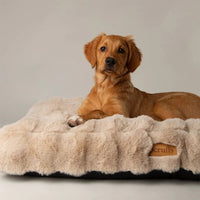 Scruffs Alpine Dog Mattress - Champagne Medium