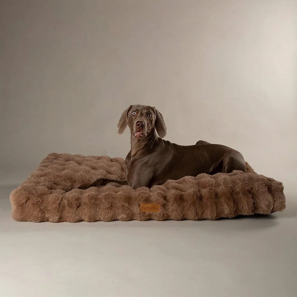 Scruffs Alpine Dog Mattress - Taupe Medium