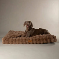 Scruffs Alpine Dog Mattress - Taupe Medium