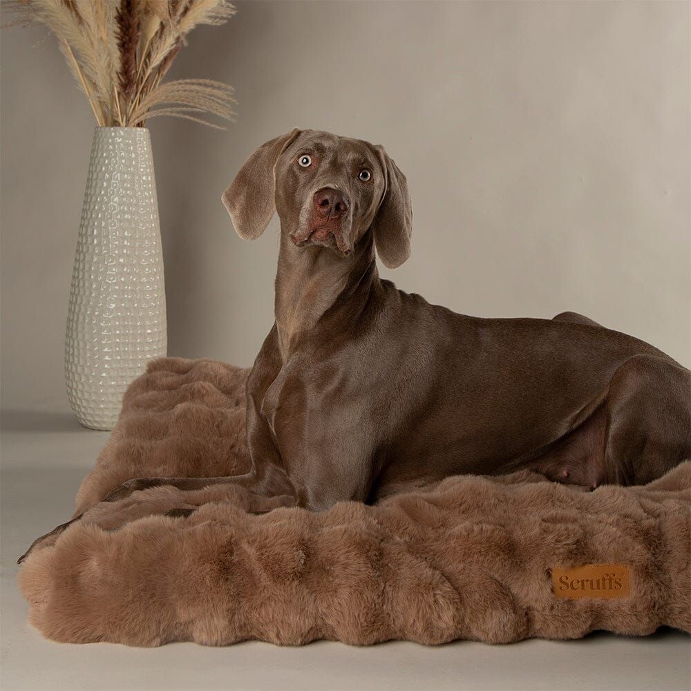 Scruffs Alpine Dog Mattress - Taupe Large