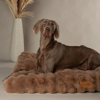 Scruffs Alpine Dog Mattress - Taupe X-Large