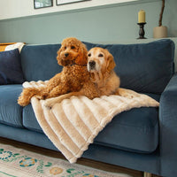 Scruffs Aspen Pet Blanket - Cream Medium