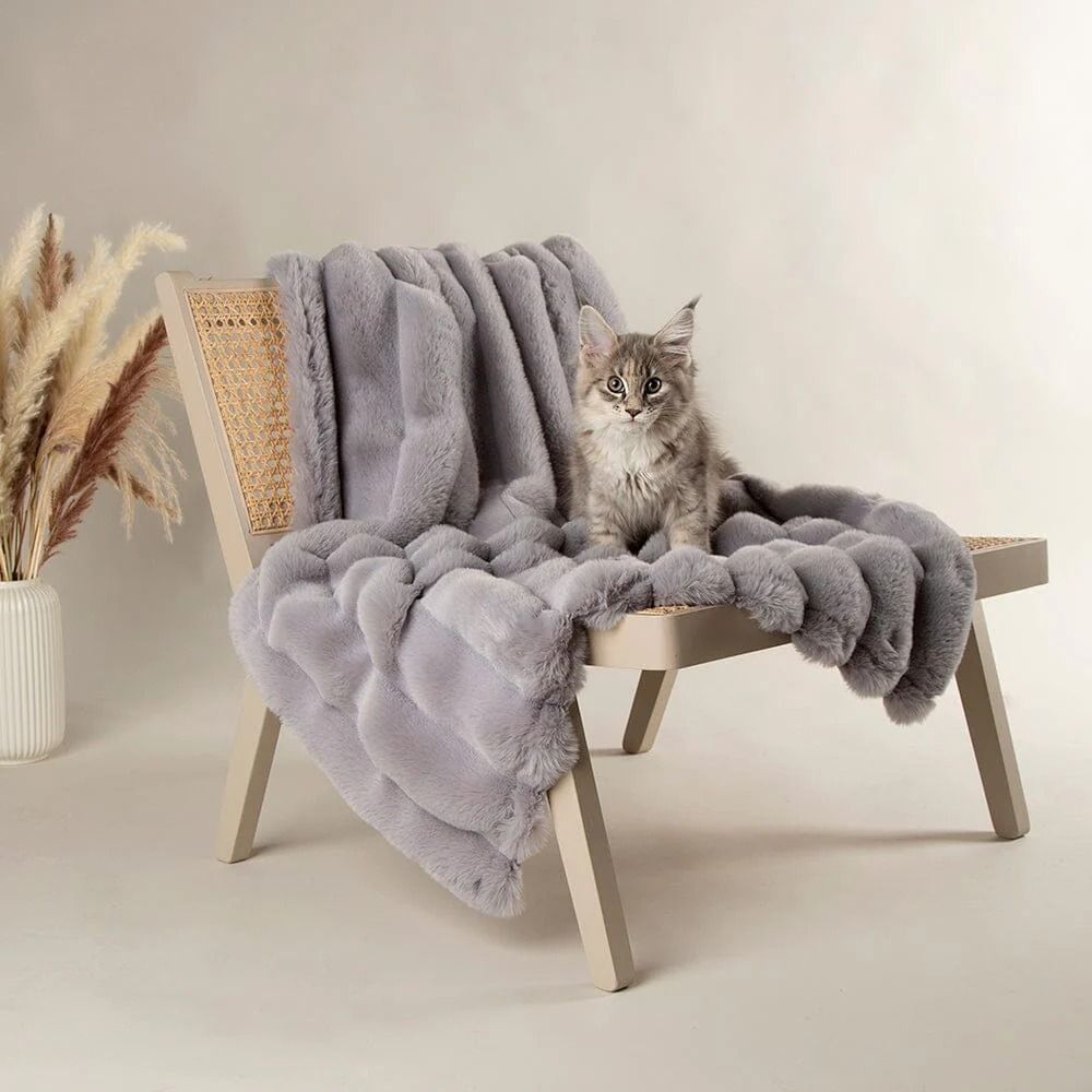 Scruffs Aspen Pet Blanket - Grey Medium