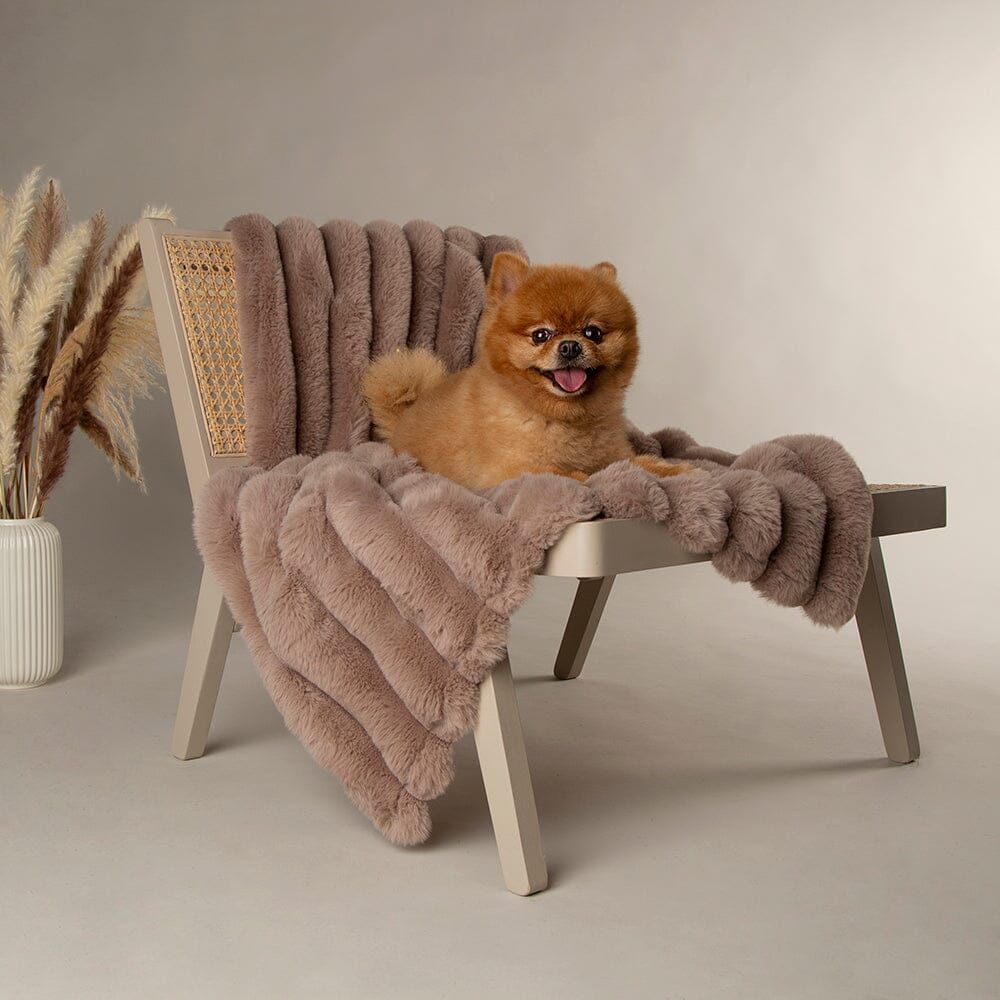 Scruffs Aspen Pet Blanket - Taupe Medium