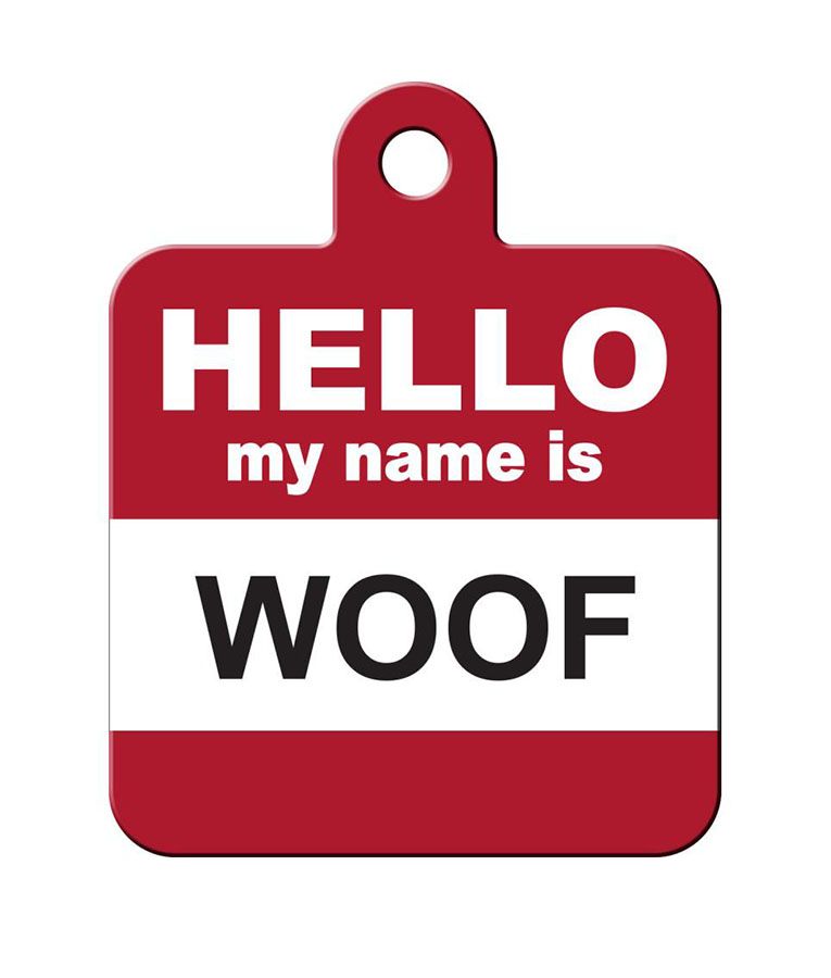 ID Tag Square Hello My Name is Woof  - Large