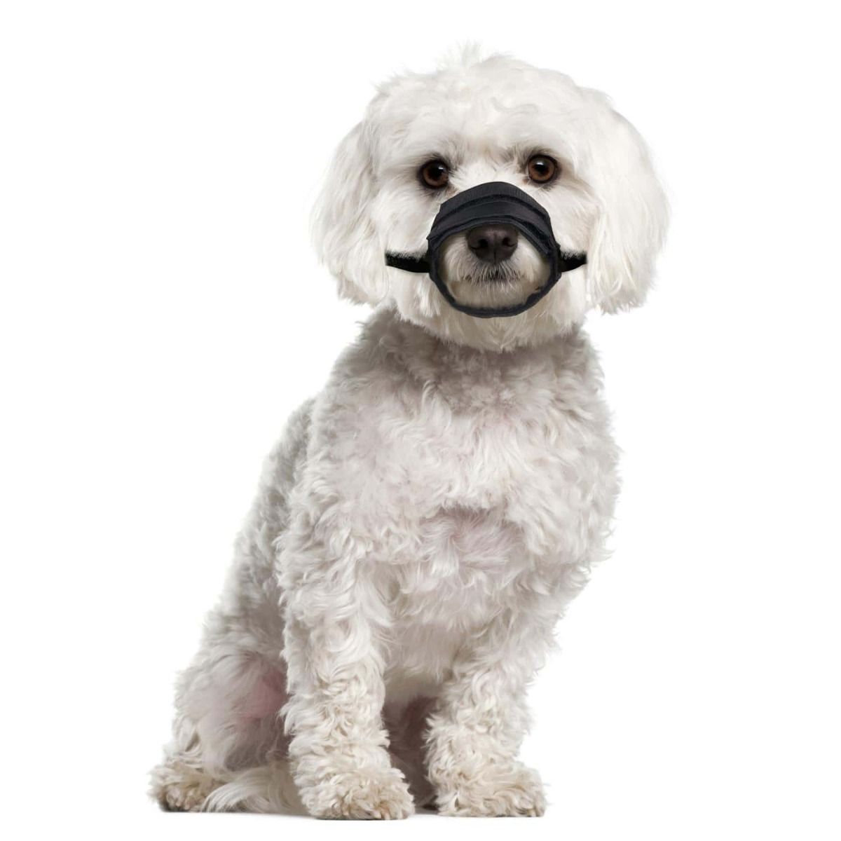 Flamingo Teddie Mesh Dog Muzzle - XS/S