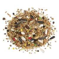 Witte Molen Country Large Parakeet[Weight - 550g]