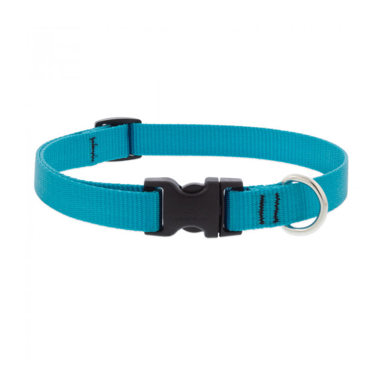 BASICS Adjustable Collar AQUA 3/4″ FOR MEDIUM DOGS - 9"-14"